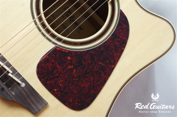 P4DC - Natural Gloss